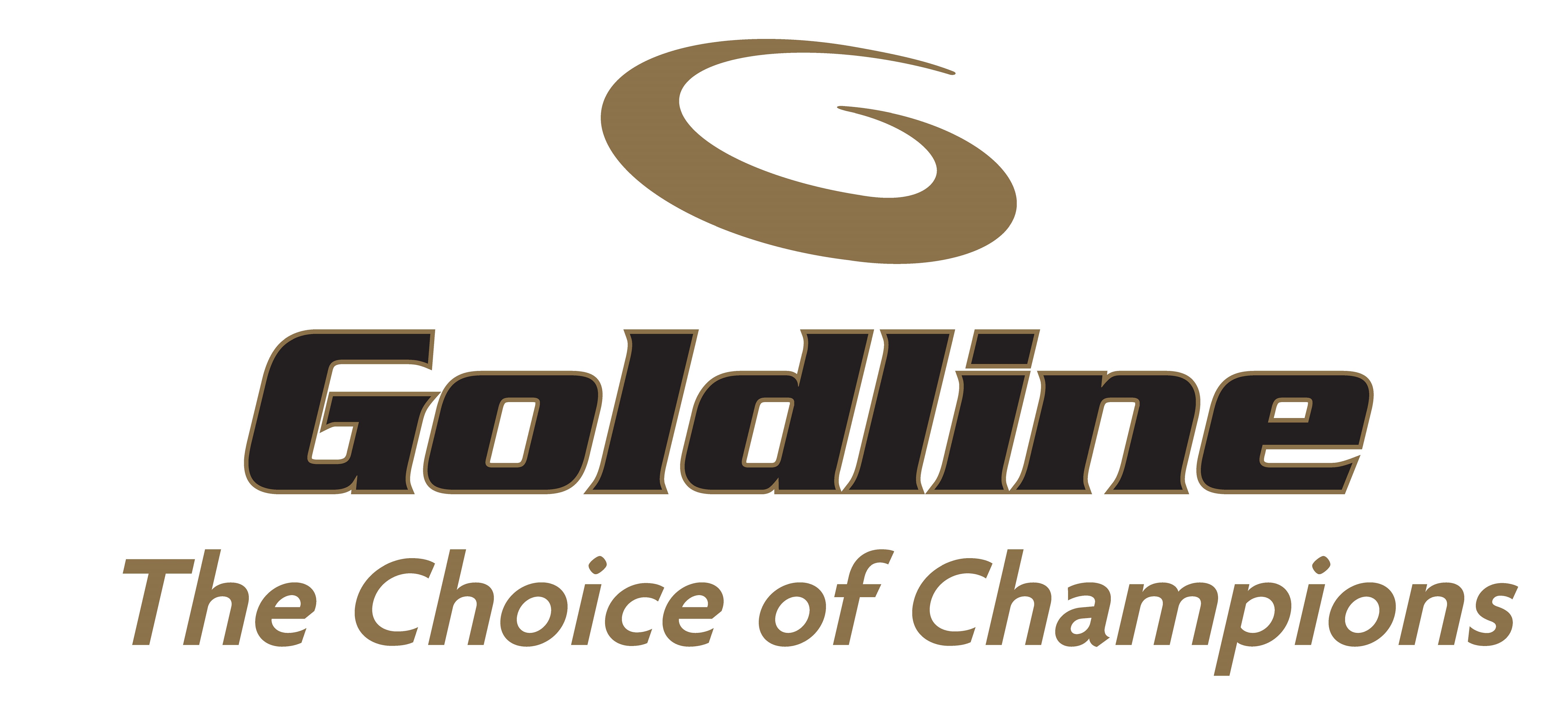 Goldline ice logo 48 in w
