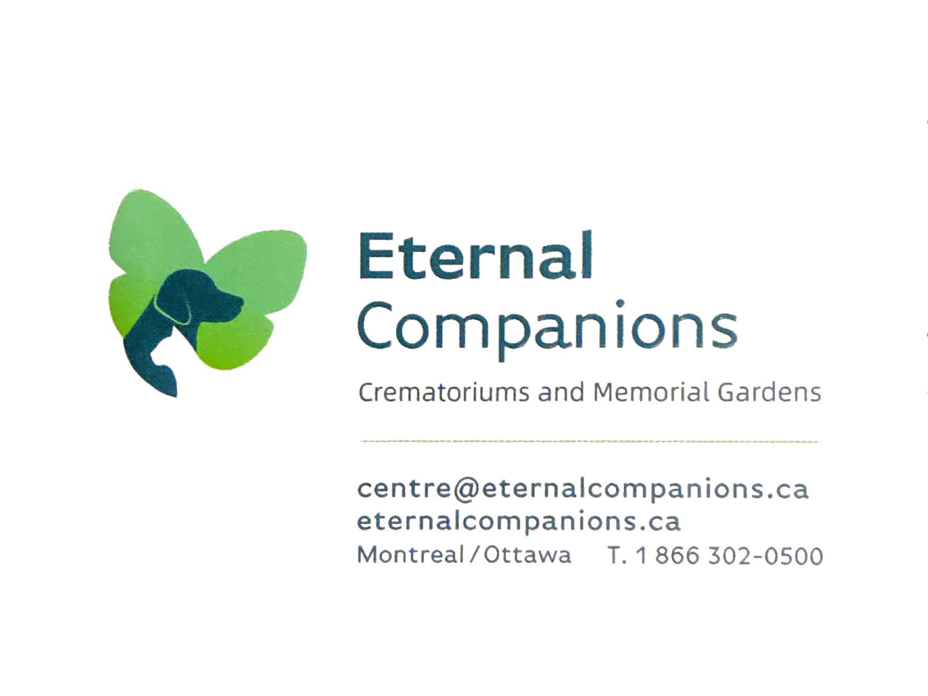Eternal Companions en v1